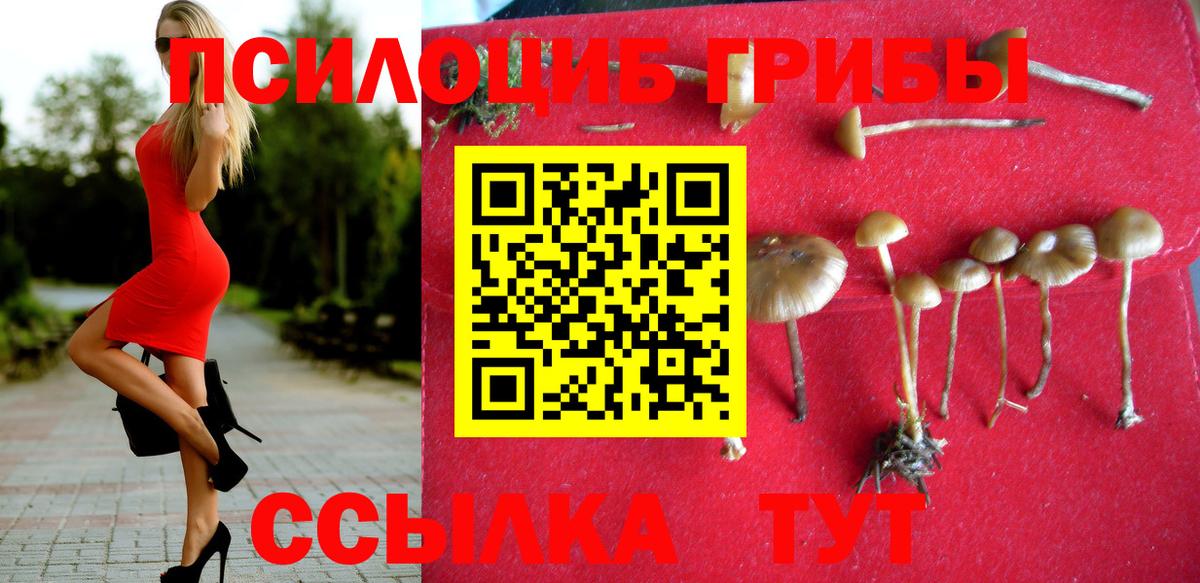 Чебаркуль  Псилоцибиновые грибы MAGIC MUSHROOMS  Псилоцибиновые грибы Cubensis  Вход с VPN 
